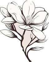 Delicate Sketch of a Magnolia Flower vector