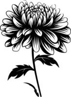 Elegant black and white silhouette of a single chrysanthemum flower, perfect for adding a touch of natural beauty to your design projects vector