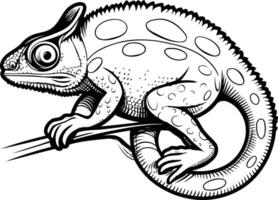 Black and white illustration of a chameleon perched on a branch, perfect for tattoo designs, nature illustrations, and reptile themed projects vector