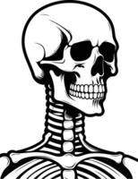 A detailed illustration of a human skull with a visible skeleton, in a black and white style vector