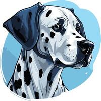 Portrait of a Dalmatian Dog vector