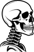 A detailed illustration of a human skull, with a visible spine, in a simple black and white design vector