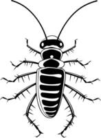 Black and white illustration of a beetle with detailed design vector