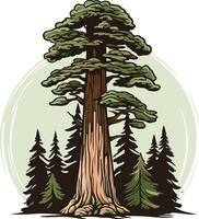 Majestic Redwood Tree in a Forest Setting vector
