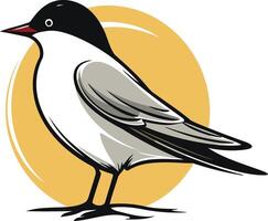 Black Headed Gull on a Sunny Day vector