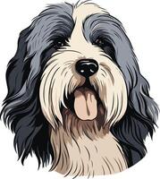 Portrait of a Happy Bearded Collie vector