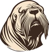 Portrait of a Walrus with a Serious Expression vector
