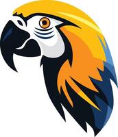 Close up Portrait of a Colorful Parrot vector