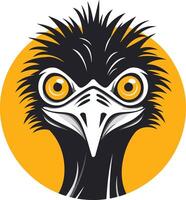 Close-up Portrait of an Emu vector