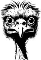 A striking black and white illustration of an emu's head, capturing its unique features and curious expression vector