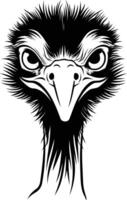 A striking black and white illustration of an ostrich's head, with fierce eyes and a powerful beak vector