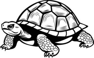 A detailed black and white illustration of a turtle with its shell facing forward, perfect for tattoo designs, animal illustrations, or nature-themed projects vector
