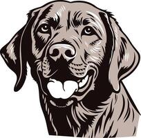 Close-Up Portrait of a Smiling Labrador Retriever vector