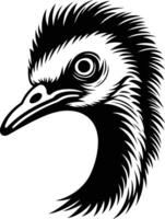 Black and white illustration of an emu's head in profile, with a focus on the eye vector