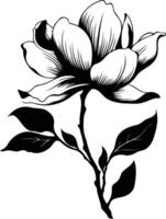 Elegant black and white silhouette of a magnolia flower with leaves vector