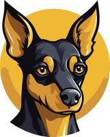 Close Up Portrait of a Miniature Pinscher vector