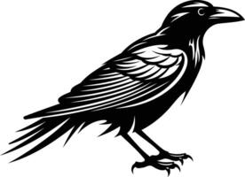 Black and white illustration of a crow in a classic, striking pose vector