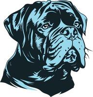 Close-up Portrait of a Bulldog vector