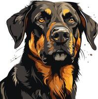 Portrait of a Black and Tan Doberman Pinscher vector