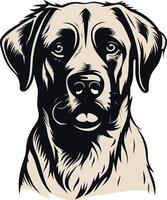 Portrait of a Dog with a Serious Expression vector