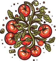 A Branch of Ripe Tomatoes with Green Leaves vector