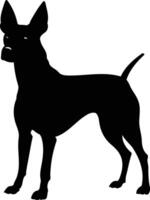 Sharp silhouette of a xoloitzcuintli dog, perfect for graphic design, website elements, and pet related projects vector