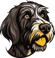 Portrait of a Wirehaired Pointing Griffon vector