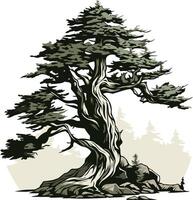 Ancient Bonsai Tree, A Symbol of Resilience vector
