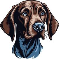 Portrait of a German Shorthaired Pointer vector