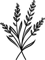 Simple line art illustration of a sprig of lavender, perfect for adding a touch of nature to your designs vector