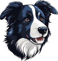 Border Collie Portrait with a Cheerful Expression vector