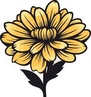 Beautiful Yellow Flower Illustration vector