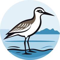 Illustration of a Sanderling Bird in its Natural Habitat vector