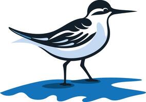A Small Bird Standing on a Blue Water Surface vector