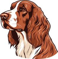 Portrait of a Red and White Springer Spaniel vector