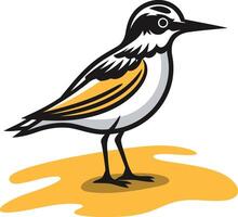 Illustration of a Sandpiper on the Beach vector