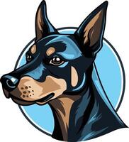 Black and Tan Doberman Pinscher Portrait vector