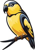 Yellow and Black Parrot Perched on a Branch vector