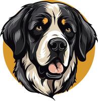 Close up Portrait of a Bernese Mountain Dog vector
