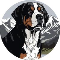 Portrait of a Bernese Mountain Dog vector