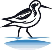Illustration of a Shorebird Standing in Water vector