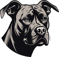 Close-up Portrait of a Pit Bull vector