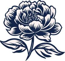 A Bold and Detailed Peony Blossom vector