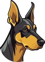 Doberman Pinscher Portrait vector