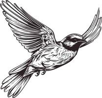 Black and White Drawing of a Flying Bird vector