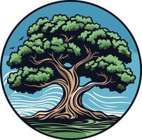 A Large Tree with Lush Green Foliage in a Circular Frame vector