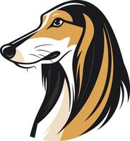 Portrait of an Afghan Hound vector