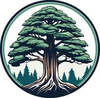 Majestic Cedar Tree in a Circle vector