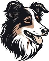 Portrait of a Border Collie vector
