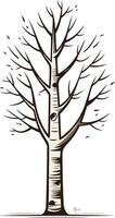 Bare Branches Against a White Background vector